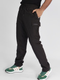 Купить Утепленные спортивные брюки мужские темно-серого цвета 21132TC, фото 15