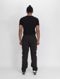Купить Утепленные спортивные брюки мужские темно-серого цвета 21132TC, фото 6