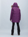 Купить Парка женская с мехом зимняя большого размера фиолетового цвета 552022F, фото 5