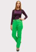 Купить Брюки горнолыжные женские зеленого цвета 905Z, фото 5